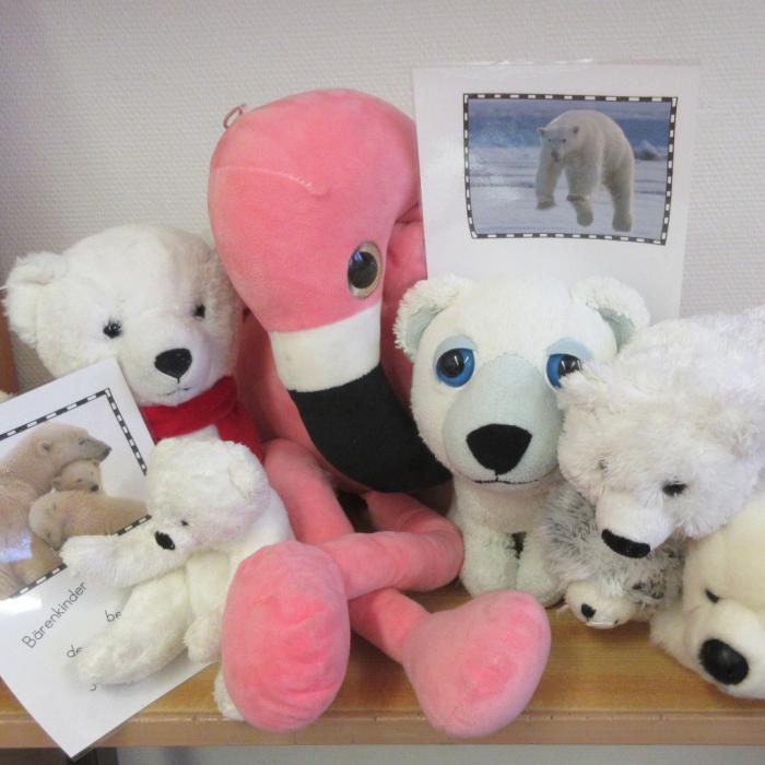 Wir schreiben und lernen über Eisbären.